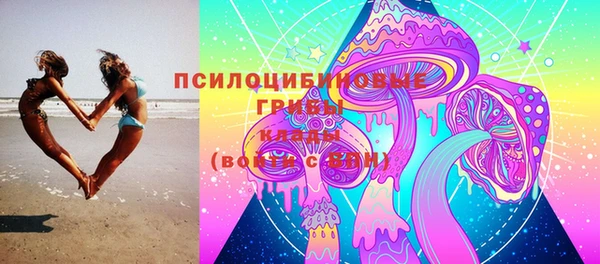 гашик Алексеевка