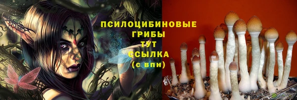 гашик Алексеевка
