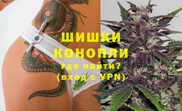 гашик Алексеевка
