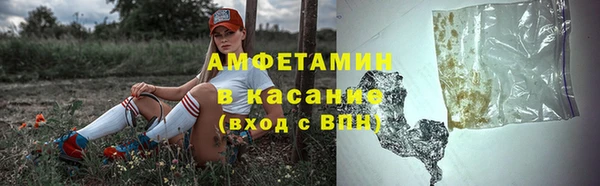 гашик Алексеевка