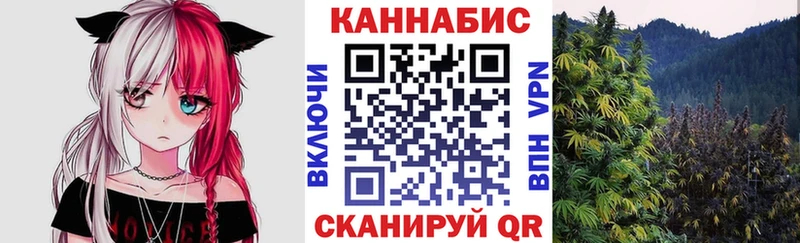 Каннабис Amnesia Краснообск